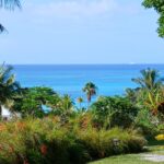 Tropical Oasis 881 WEST BAY ST