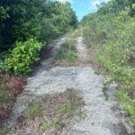 OCEAN FRONT TRACT