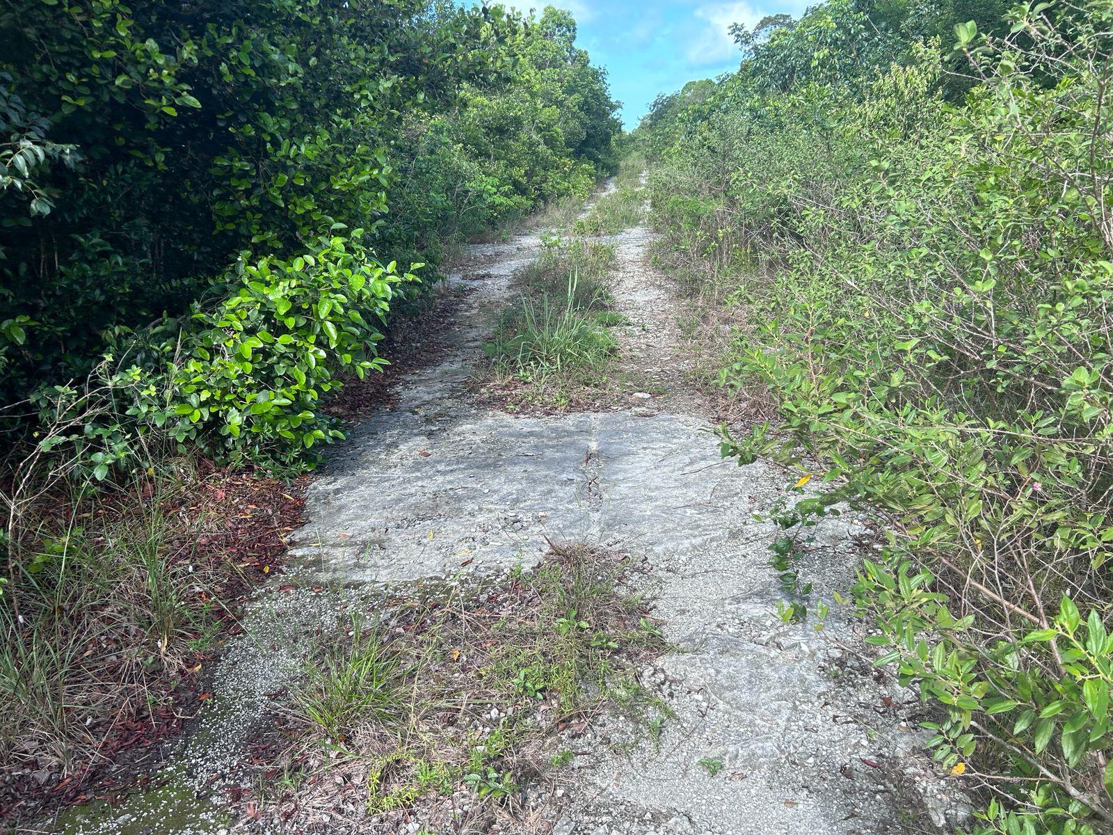 OCEAN FRONT TRACT