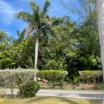 37 VENICE BAY BLVD